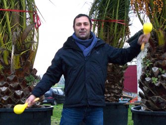 foto Die Schmetterlinge essen die Bananen 5