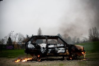 foto Die Schmetterlinge essen die Bananen 8