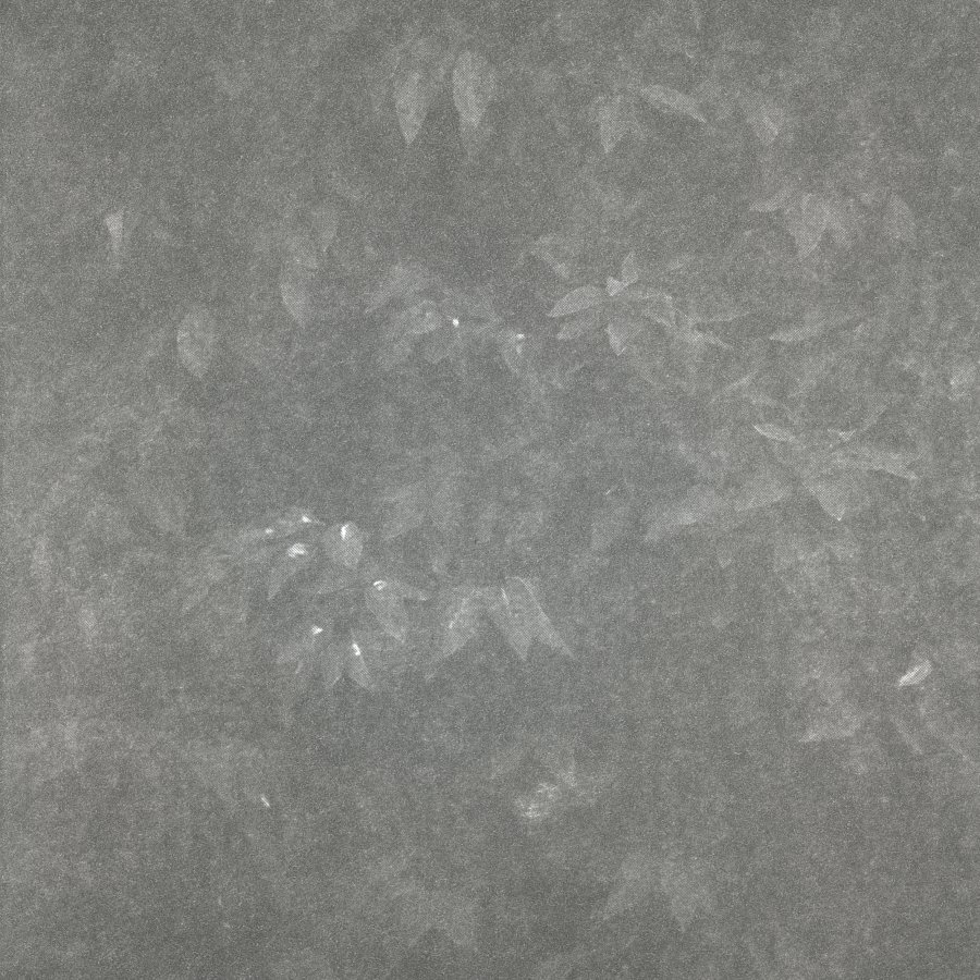 Foto Emiliano Romanelli 333 loops 