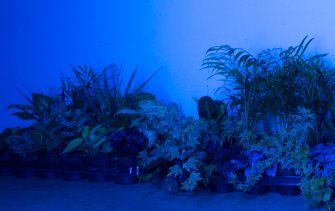 Foto Milite Ignoto 13