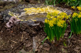 Foto Trond Reinholdtsen Ã˜ 07