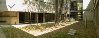 foto Lady with Gull 01