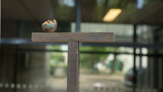 foto Lady with Gull 08