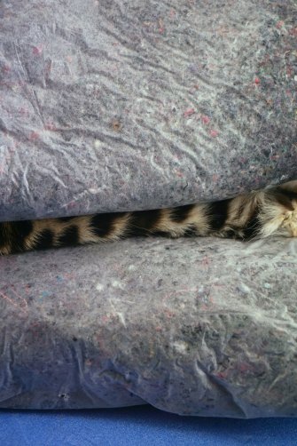 Three chapters of a meaningless story 12