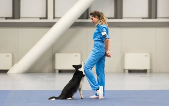 Foto ANUBI IS NOT A DOG 04