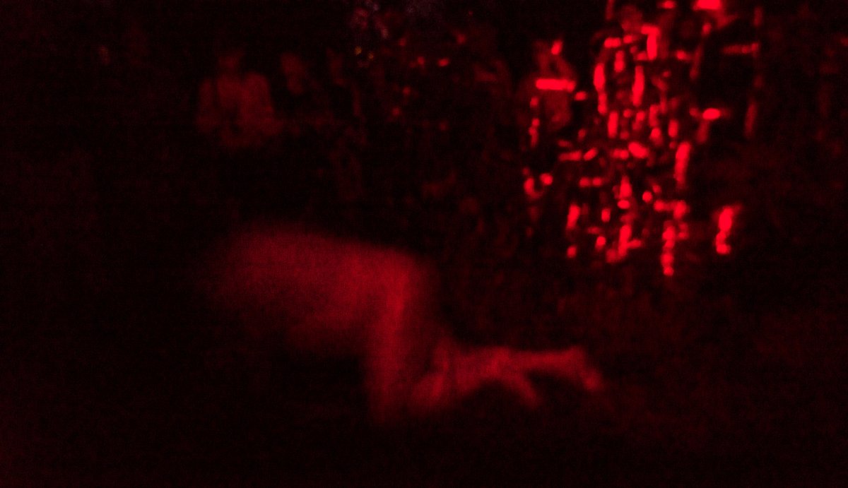 Foto Hunt me down 01