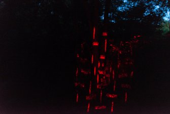 Foto Hunt me down 03