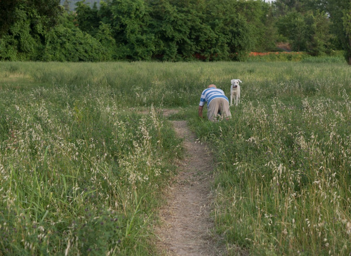 Foto In the beginning 01