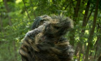 Foto Live Arts Week X 2021 21