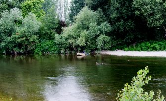 Foto Live Arts Week X 2021 22