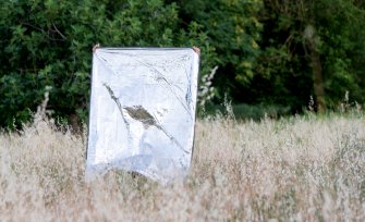 Foto Live Arts Week X 2021 33