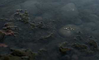 Foto Live Arts Week X 2021 40