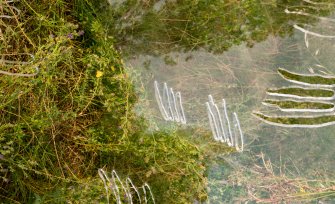 Foto Live Arts Week X 2021 61