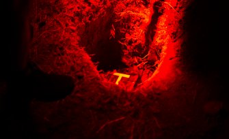 Foto Live Arts Week X 2021 66