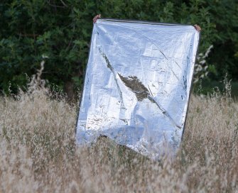 Foto Found in transition 05