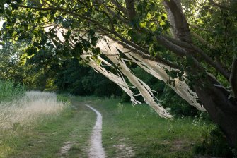 Foto Found in transition 06