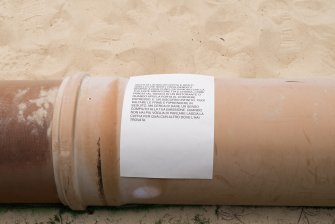 Peng on the Beach 03