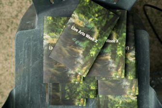 Peng on the Beach 08