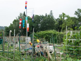 Foto COSINUS Ricambio stagionale 06