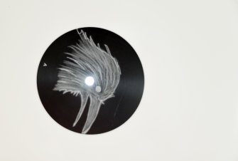 Foto Very cheap non-human animal imitations 04