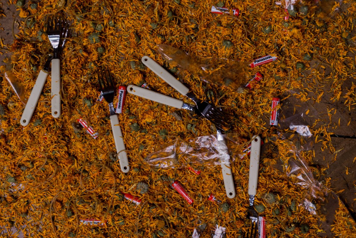 Foto Prelude to an Institute of Rest(s) 01