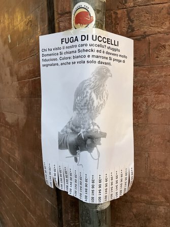 Prelude to an Institute of Rest(s) 04