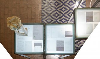 Foto Walking loaves 07