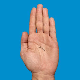 Foto Opla 2019 Vascellari