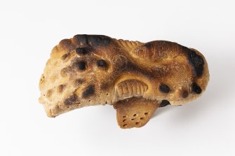 foto Opla 2022 Trevisani