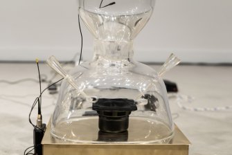 Foto Abyssal Creatures - Body0 Xilema 03