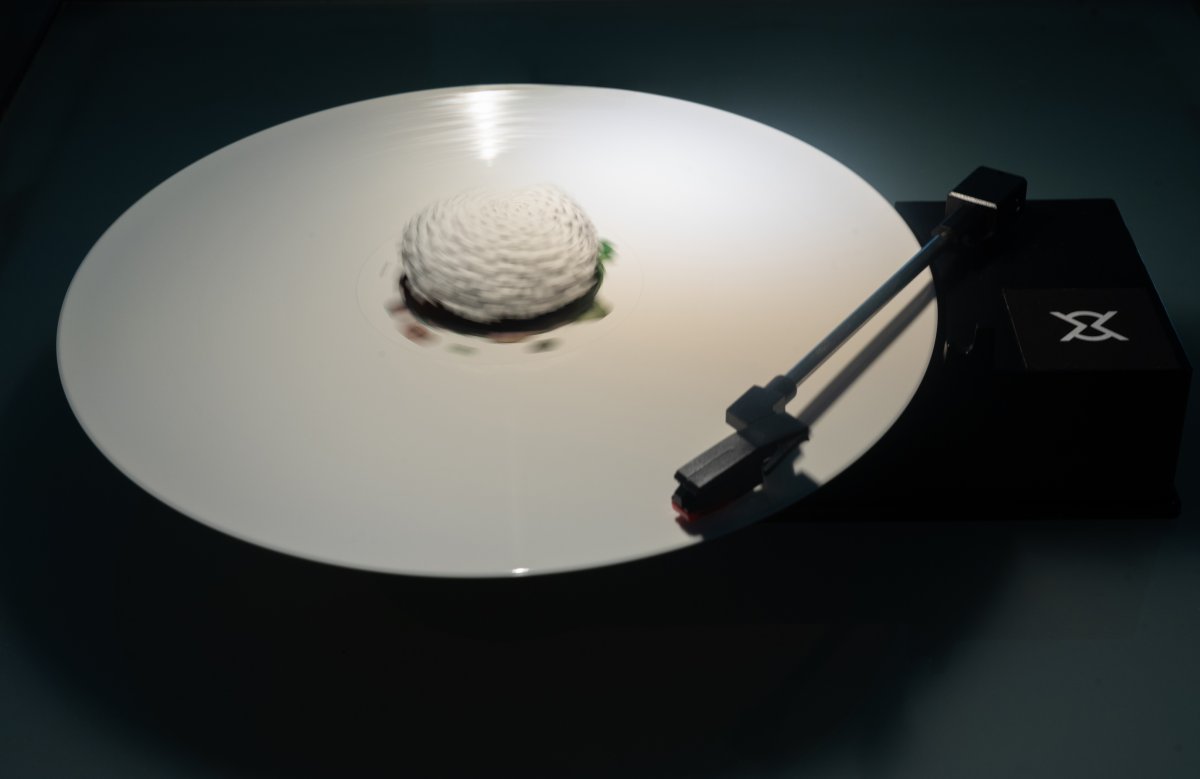 Foto Giungla da schermo 01