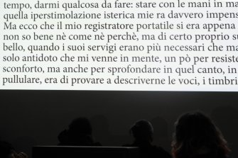 Foto Giungla da schermo 03