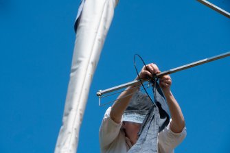 foto COSINUS (Venti Cosmici) - ricambio stagionale 2025 02