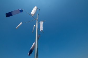 foto COSINUS (Venti Cosmici) - ricambio stagionale 2025 05