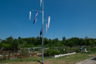 foto COSINUS (Venti Cosmici) - ricambio stagionale 2025 06