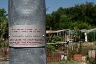 foto COSINUS (Venti Cosmici) - ricambio stagionale 2025 07